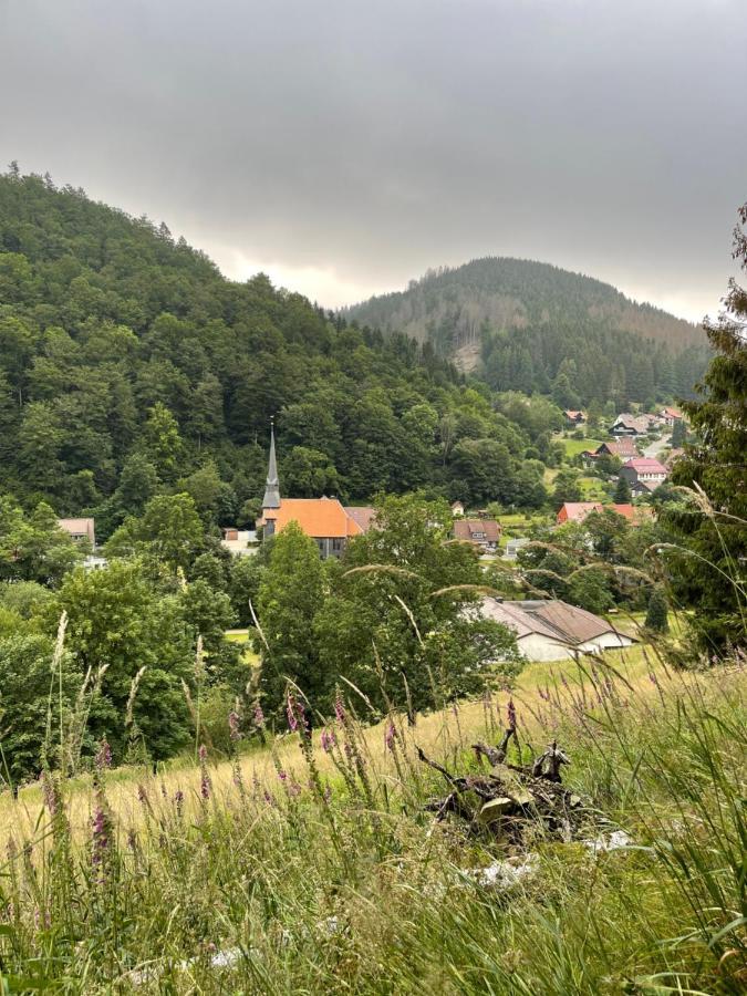 Gemuetliches Apartment Mit Kamin Und Wohnkueche Herzberg am Harz Exteriér fotografie